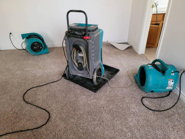 Best Water damage restoration process  in San Marcos, CA