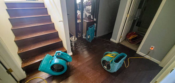  San Marcos, CA Water damage restoration Pros