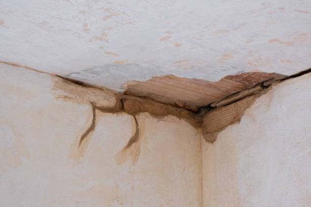 Sewage cleanup and water damage restoration in CA
