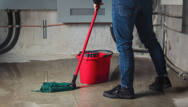 Best Water damage contractors near me  in San Marcos, CA
