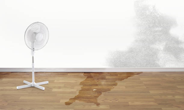 Best Water damage restoration cost  in San Marcos, CA