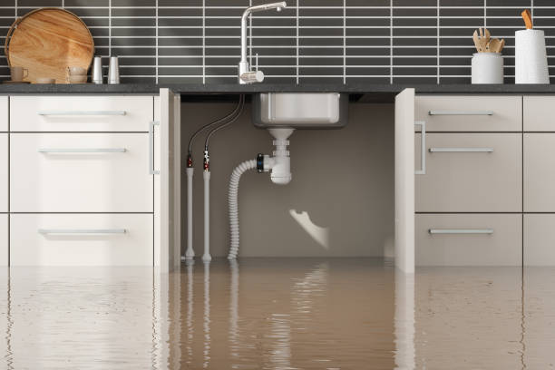 Best 24-hour water damage restoration  in San Marcos, CA