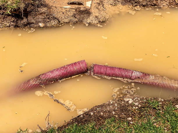 Best Professional water damage repair  in San Marcos, CA