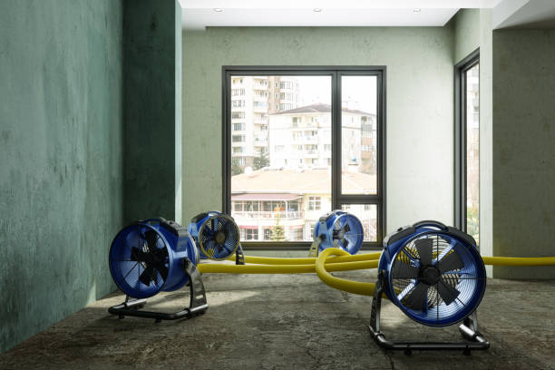 Best Residential water damage restoration  in San Marcos, CA